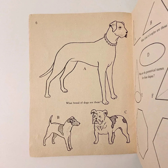 Vintage Pencil  and Paper 140 Questions and Pictures to Colour Activity Book - Picture 7 of 10